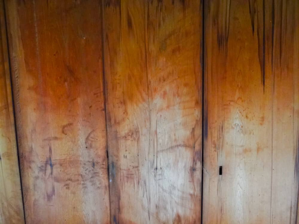 Blood-Stained Ceiling