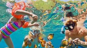 Snorkeling Spots