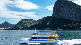 Boat Tours & Coastal Exploration