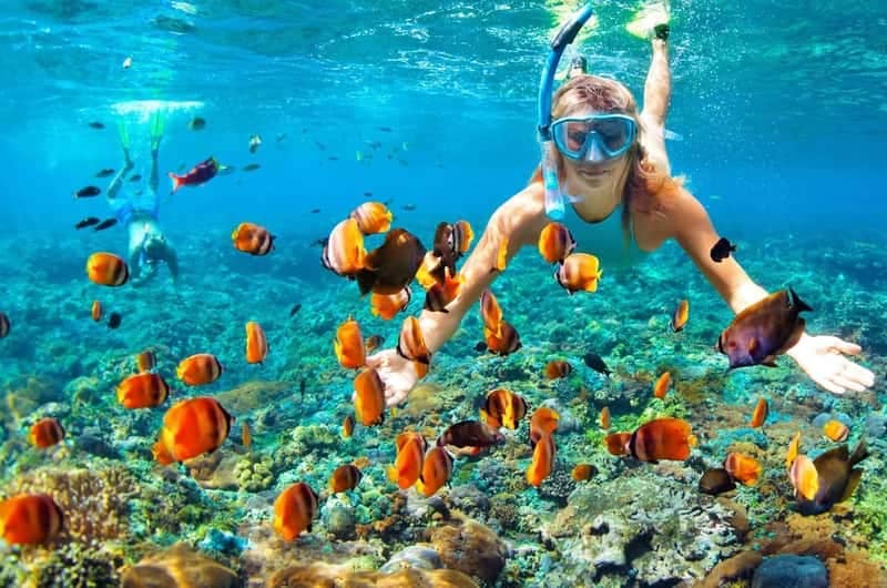 Snorkeling Excursions
