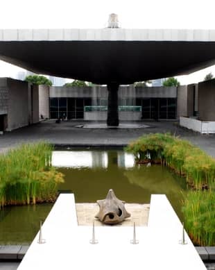 Reflecting Pool Wonders