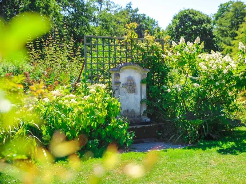 Lush Greenery and Flowers