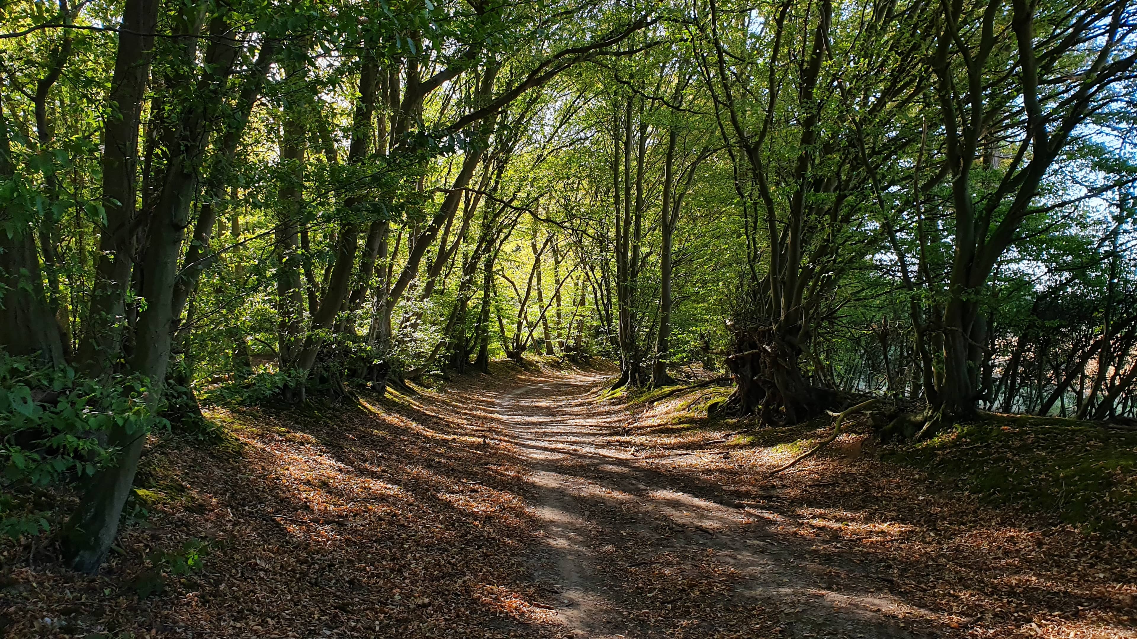 Varied Footpaths