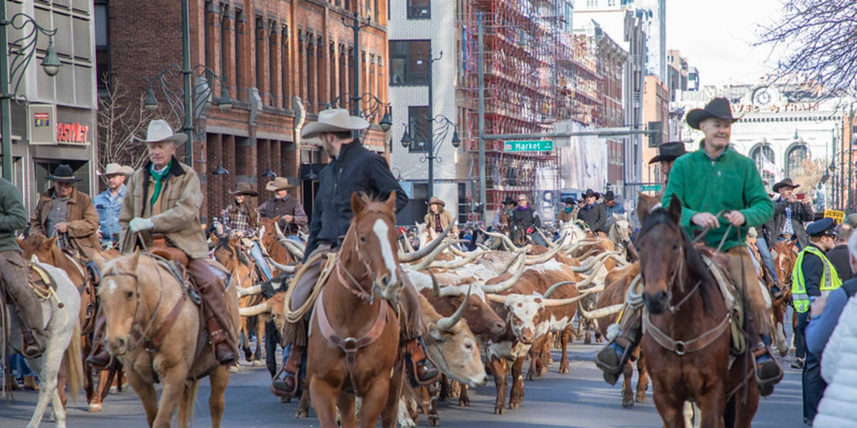 National Western Parade