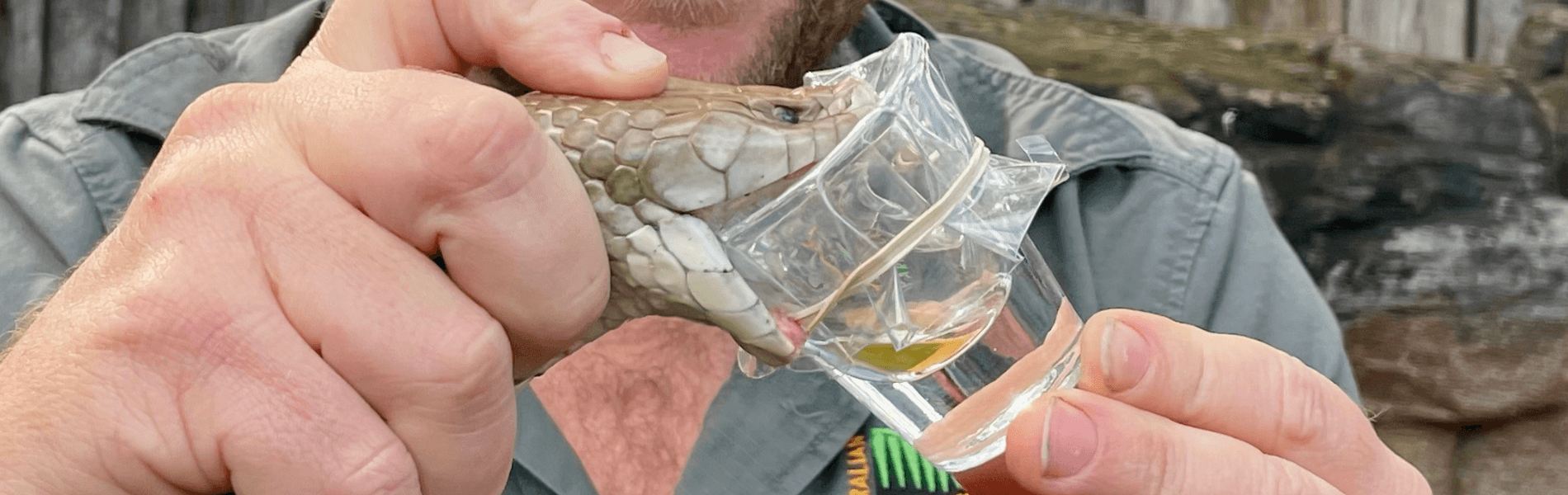 Highlights