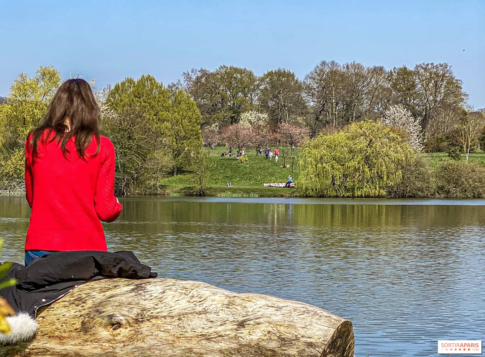 Peaceful Walking Paths