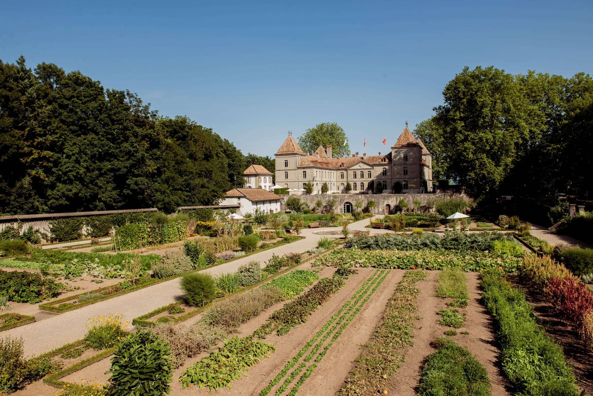 18th-Century Kitchen Garden