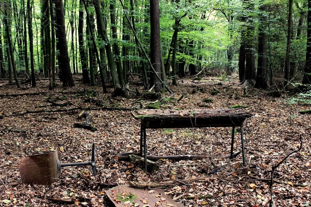 Picnic Spots