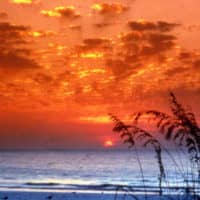 Sunset Spectacles