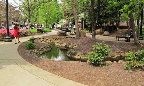 Tranquil Green Space