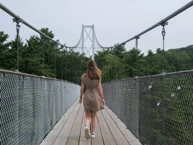 Suspension Bridge Views