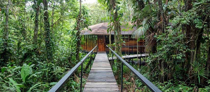 Jungle Cabins