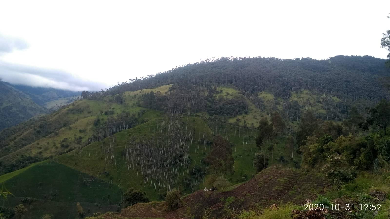 Scenic Mountain Biking Routes