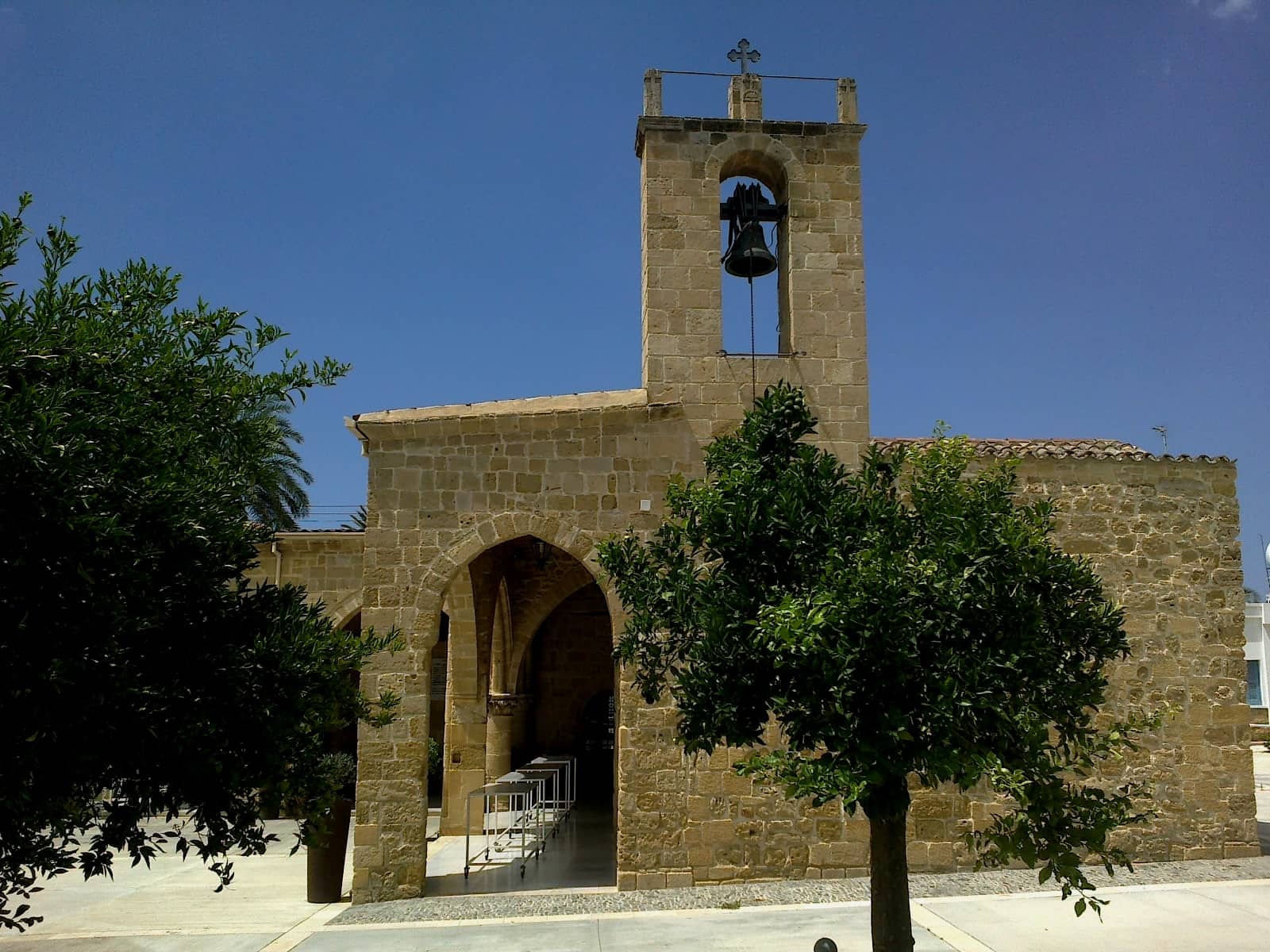 Vertical photo