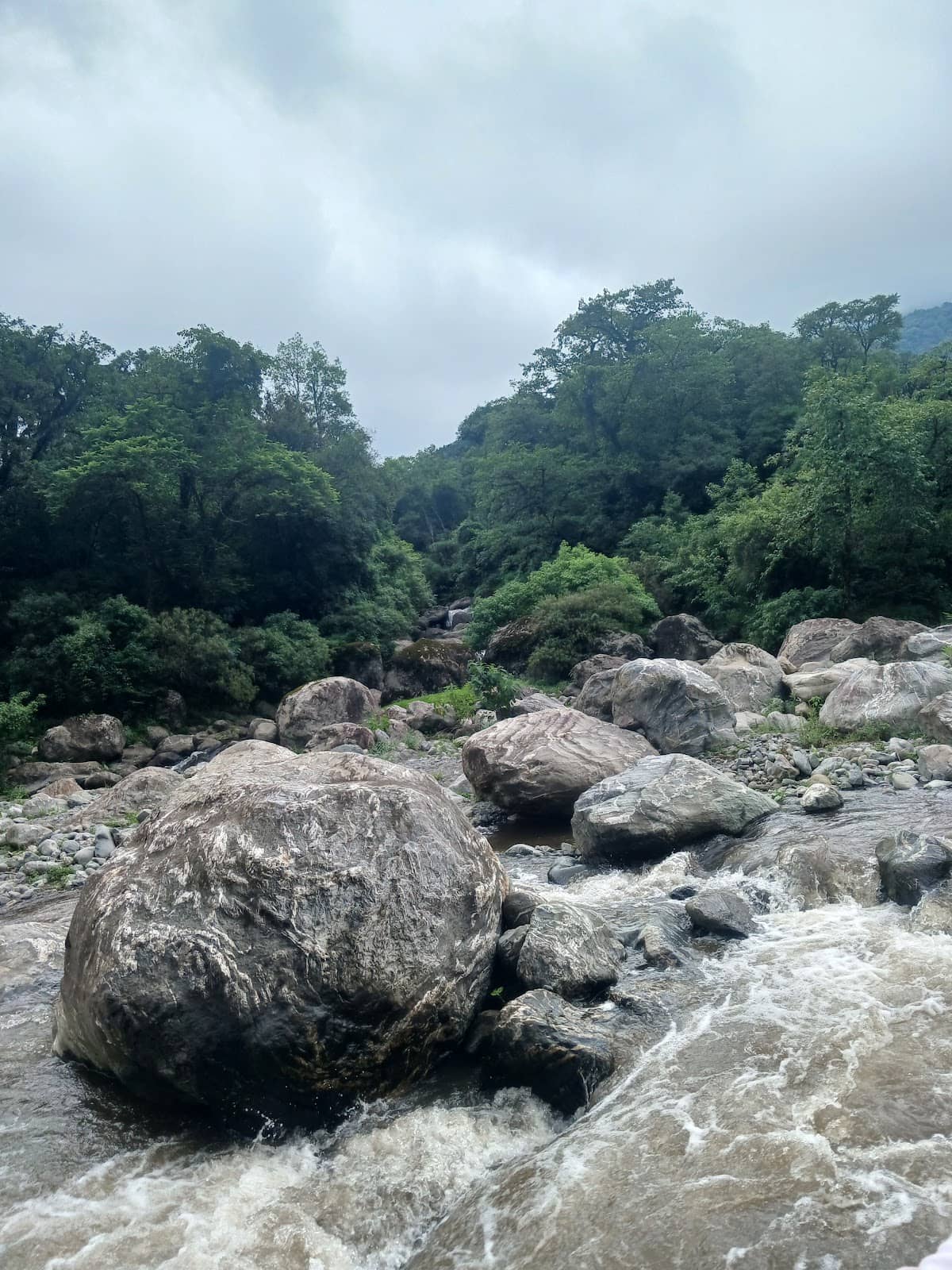 Vertical photo