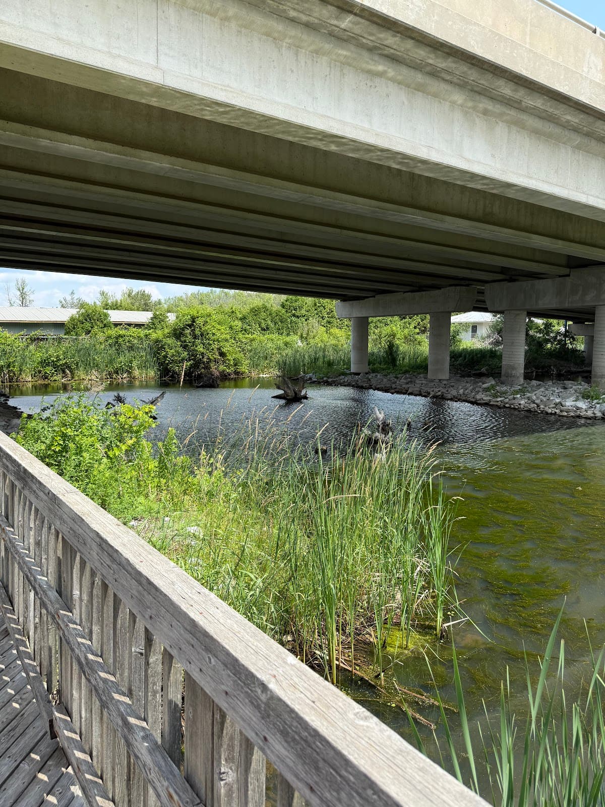 Mnjikaning Fish Weirs National Historic Site - Image 1
