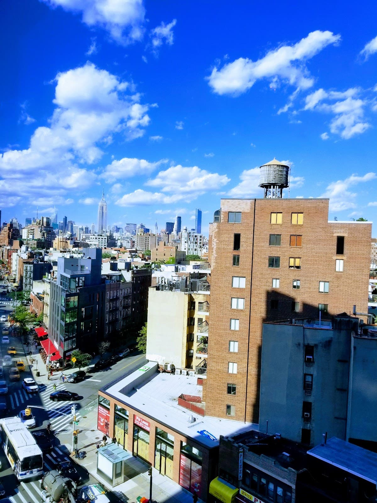 New York City Audubon - Image 1