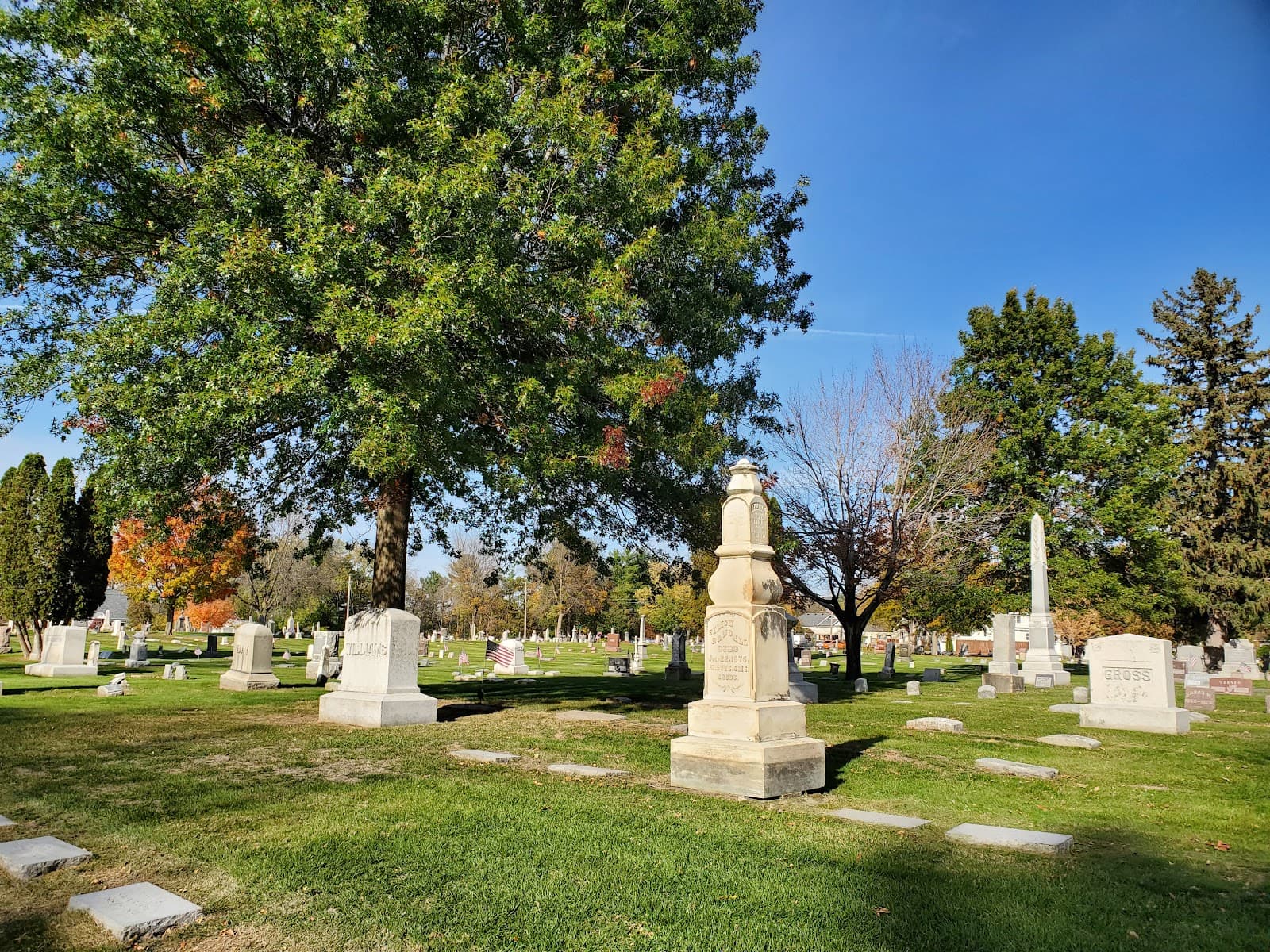 Forest Hill Cemetery - Image 1