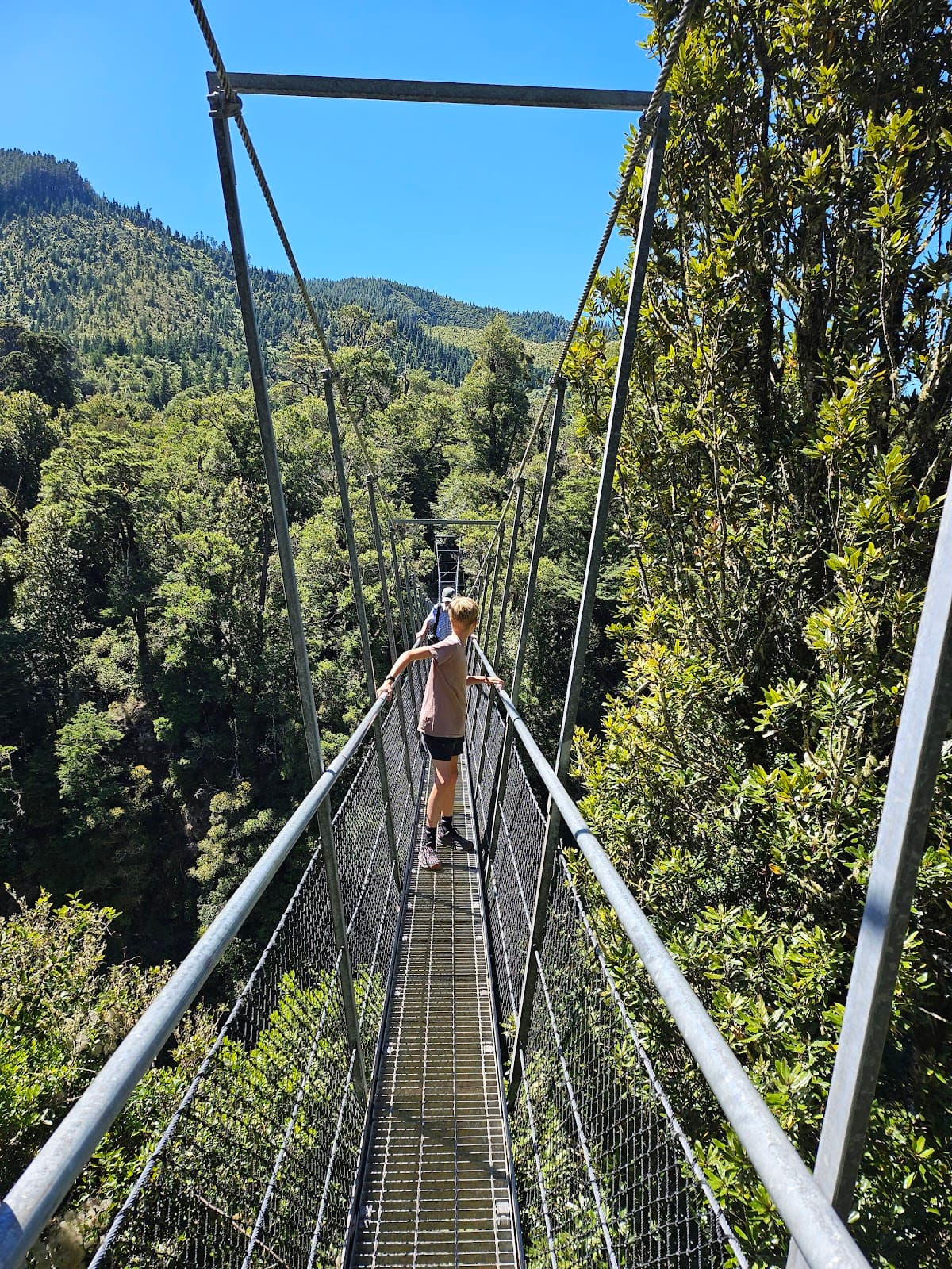 Waiohine Gorge Suspension Bridge - Image 1