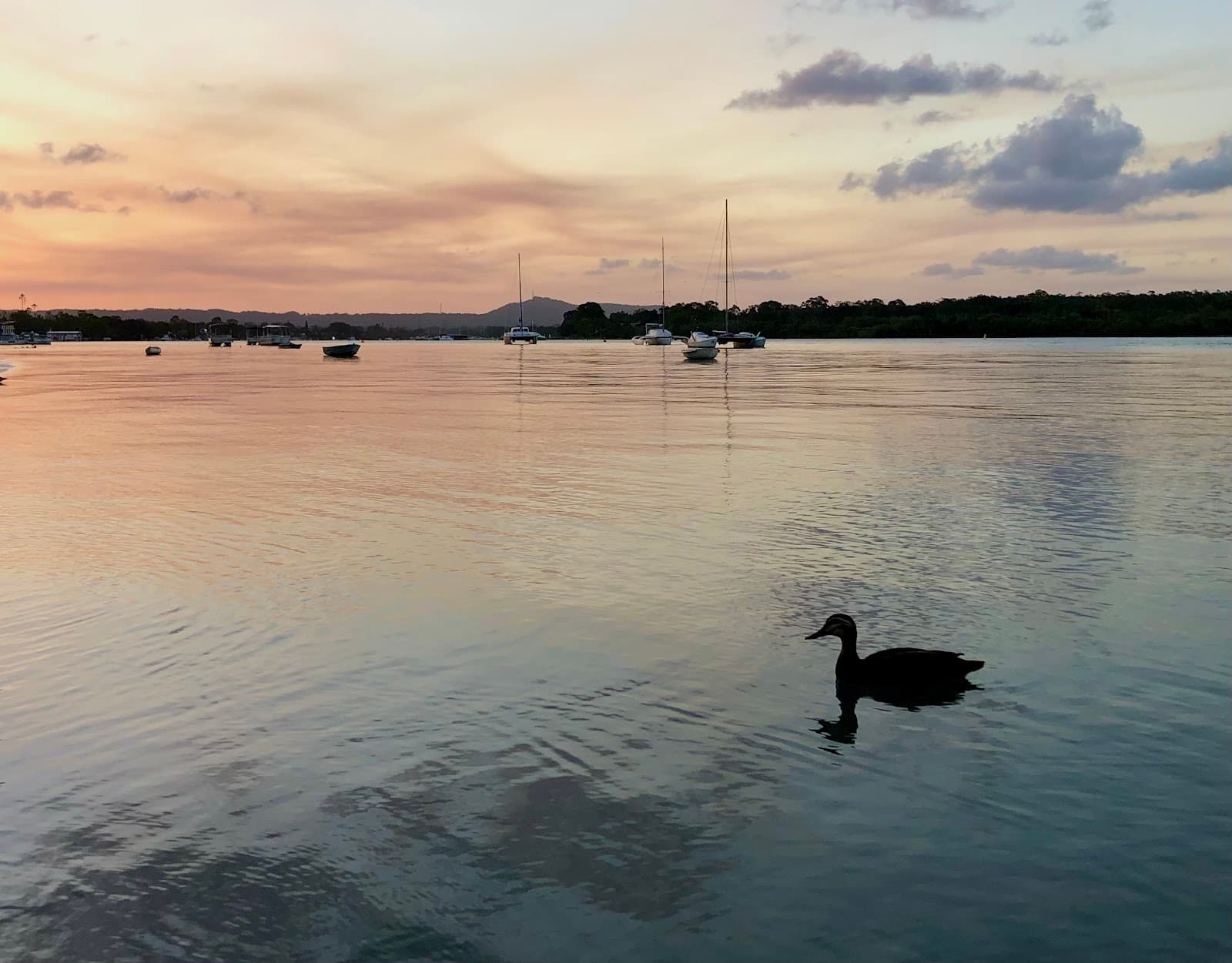 Lake Cootharaba - Image 1