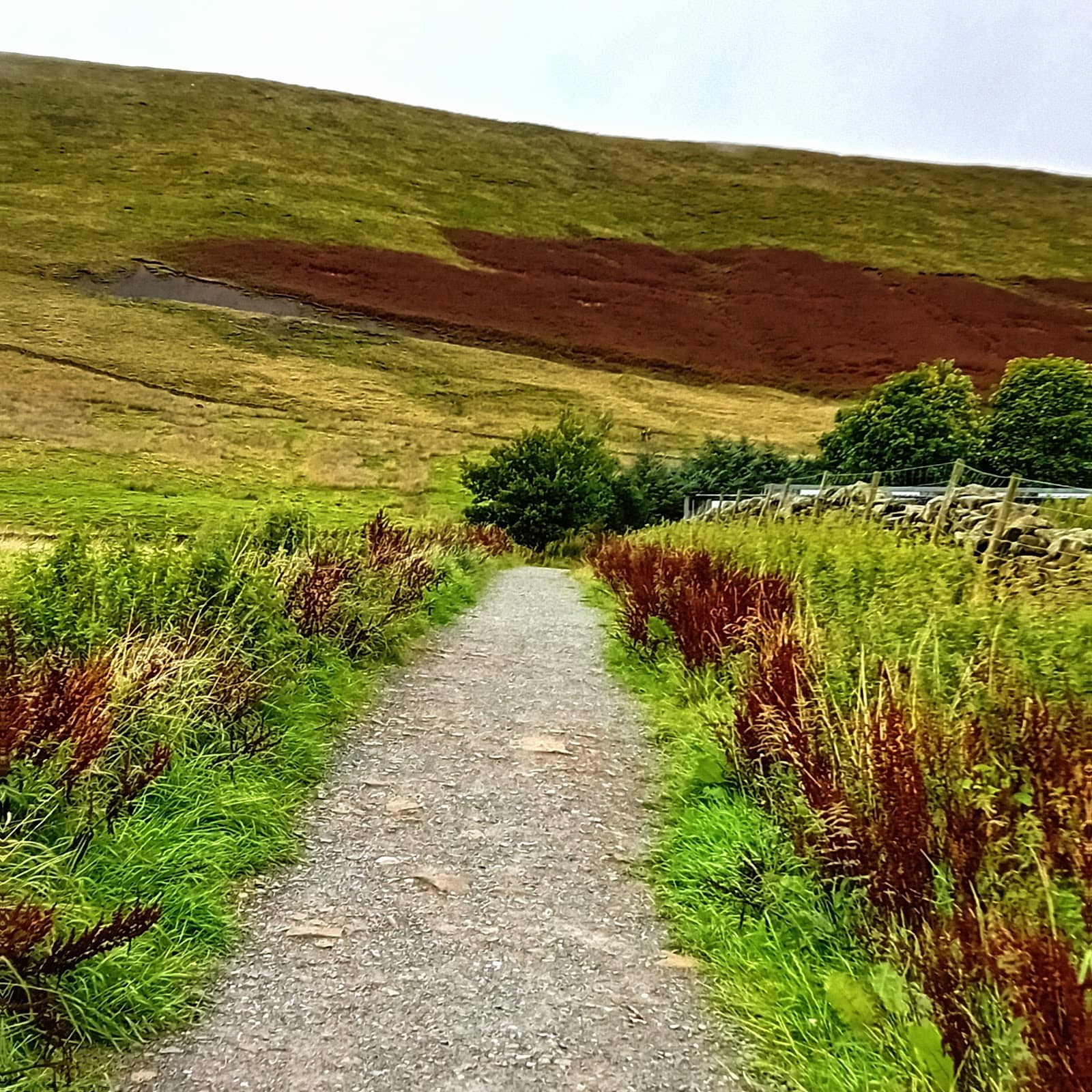 Barley Village Charm