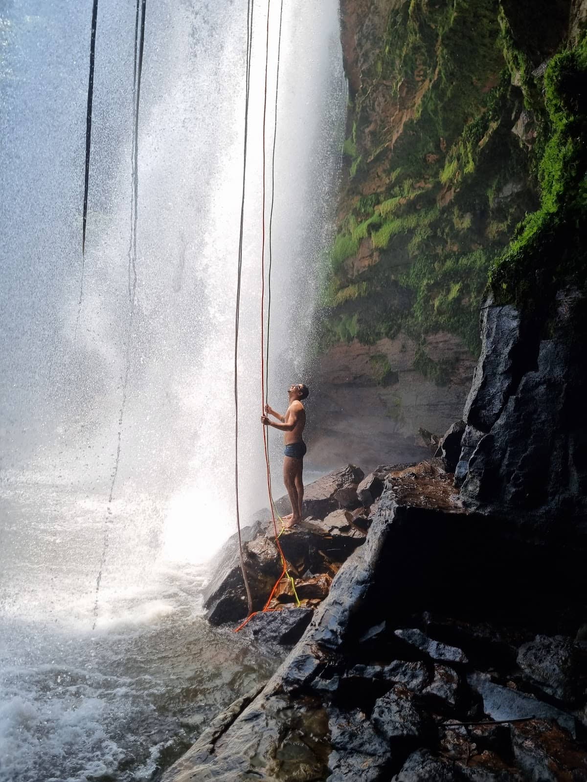 Vertical photo