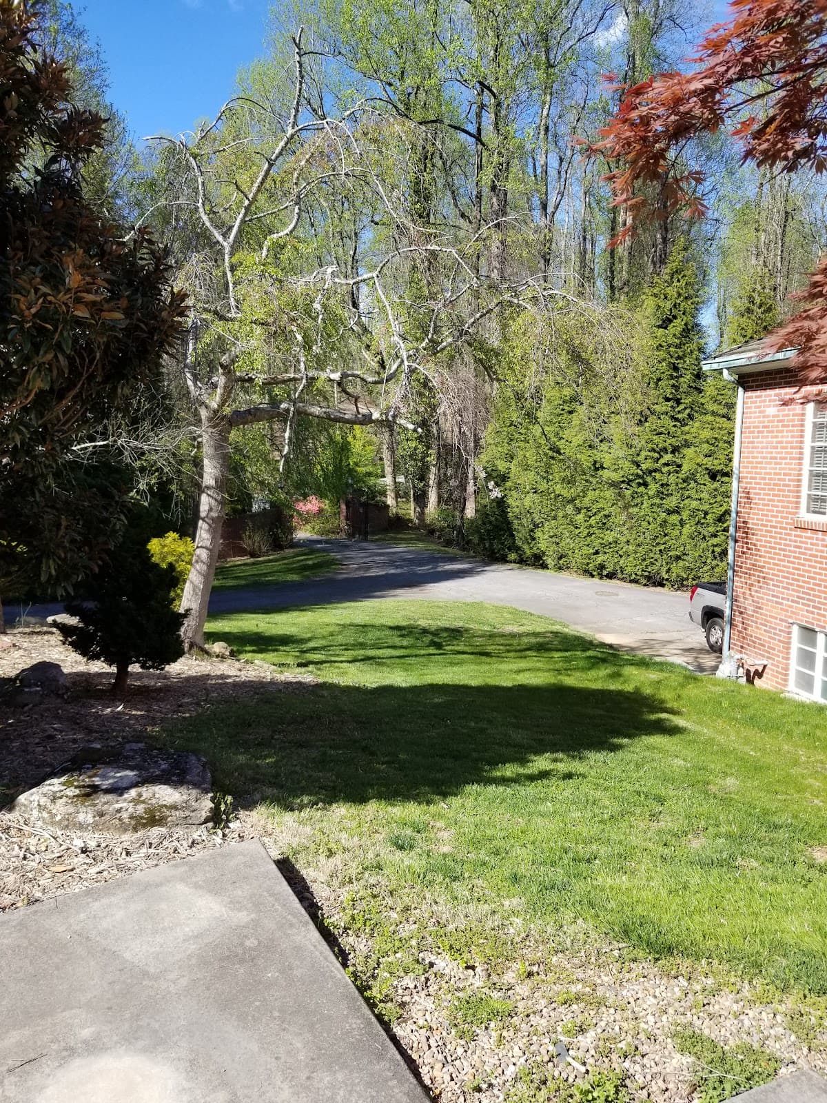 Laurel Park - Image 1