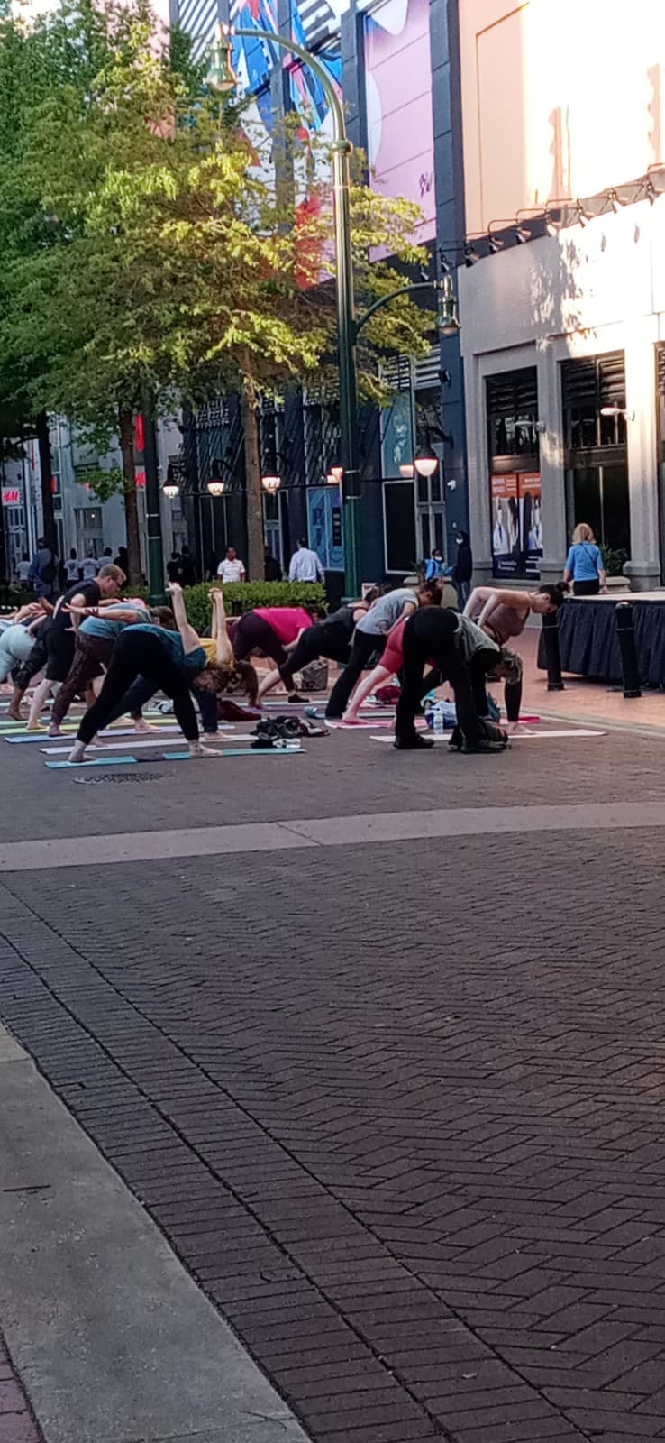 Fenton Village - Image 1