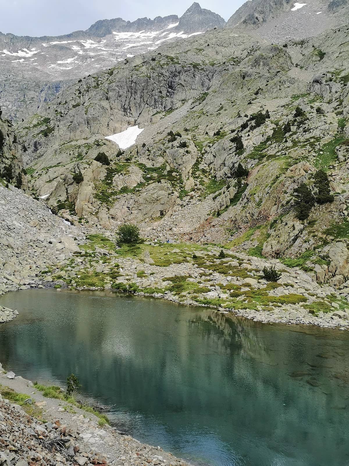 Vertical photo