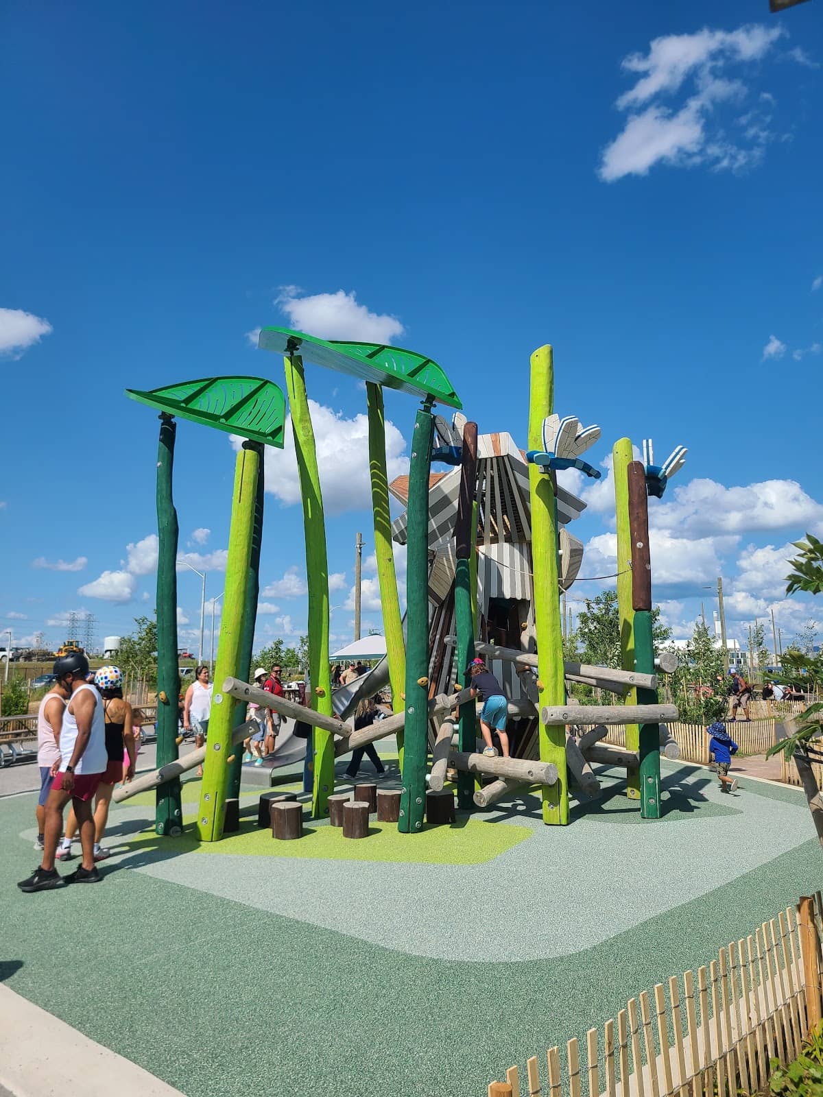 Dog-Friendly Off-Leash Areas