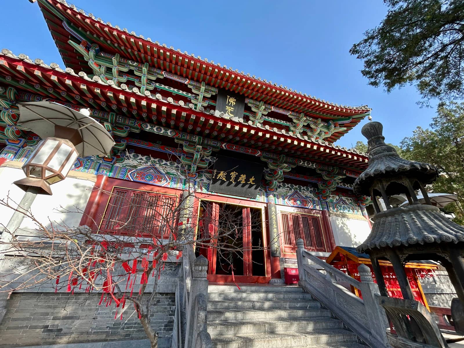 Celebrity Connections