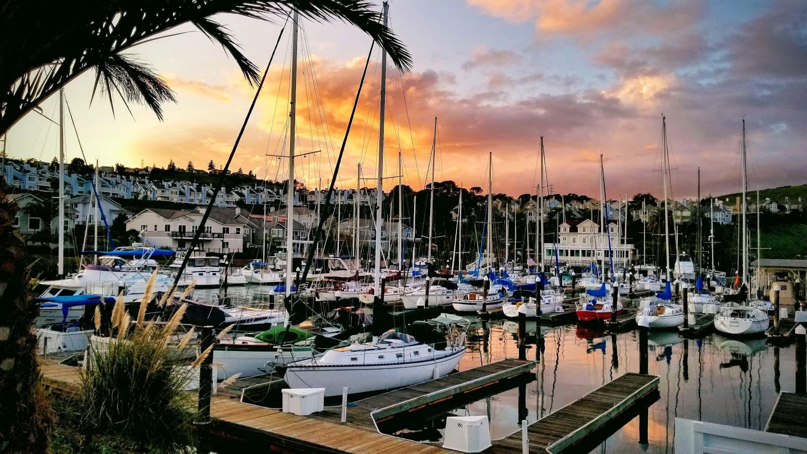 Glen Cove Marina - Image 1