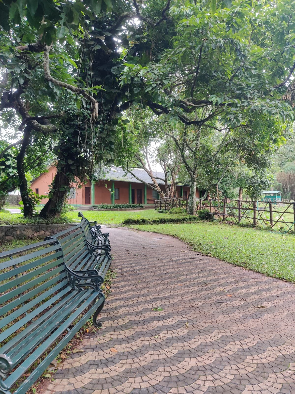 Tribal Heritage Museum Thekkady - Image 1