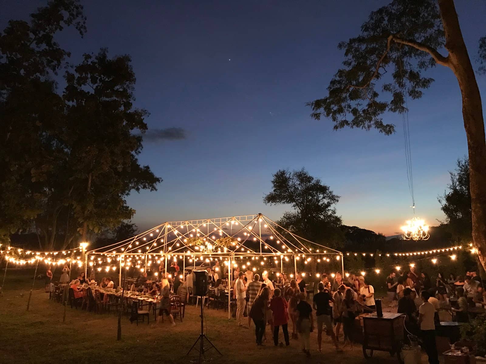 Quirky & Trendy Vibe