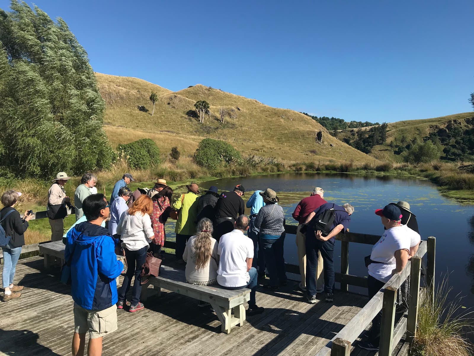 Waimarama Māori Tours - Image 1