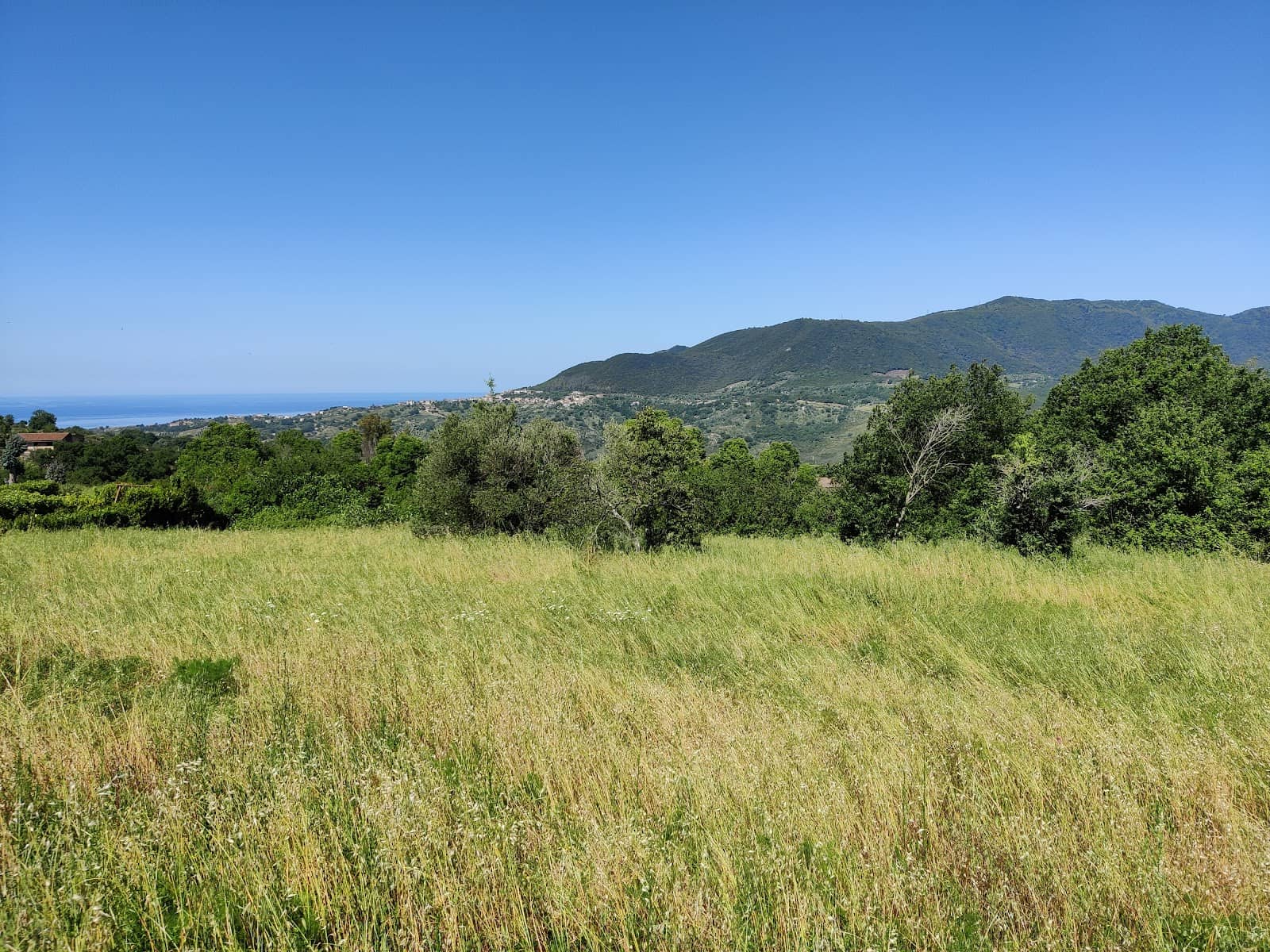 Mediterranean Culinary Delights