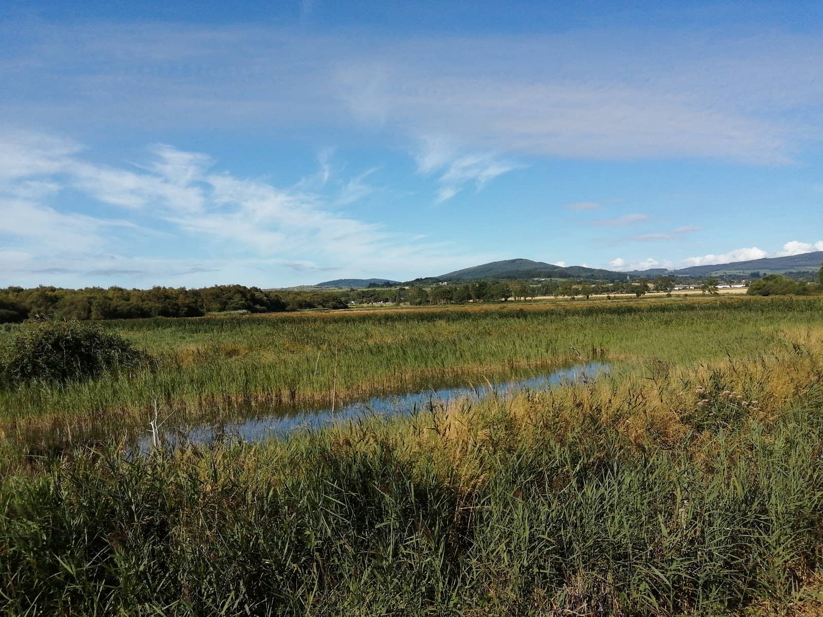 Tranquil Nature Walk