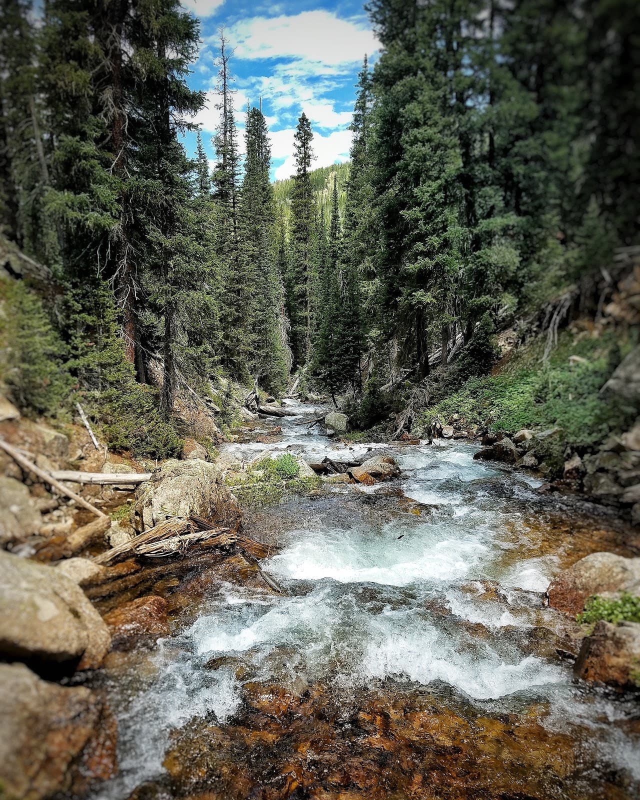 Jim Creek Trail - Image 1