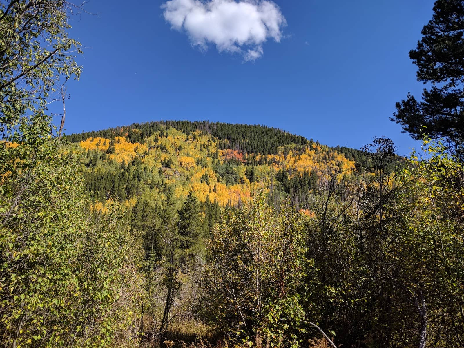 Vertical photo