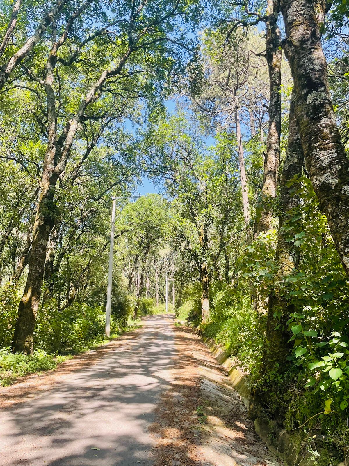 IMSS La Malintzi Vacation Center - Image 1
