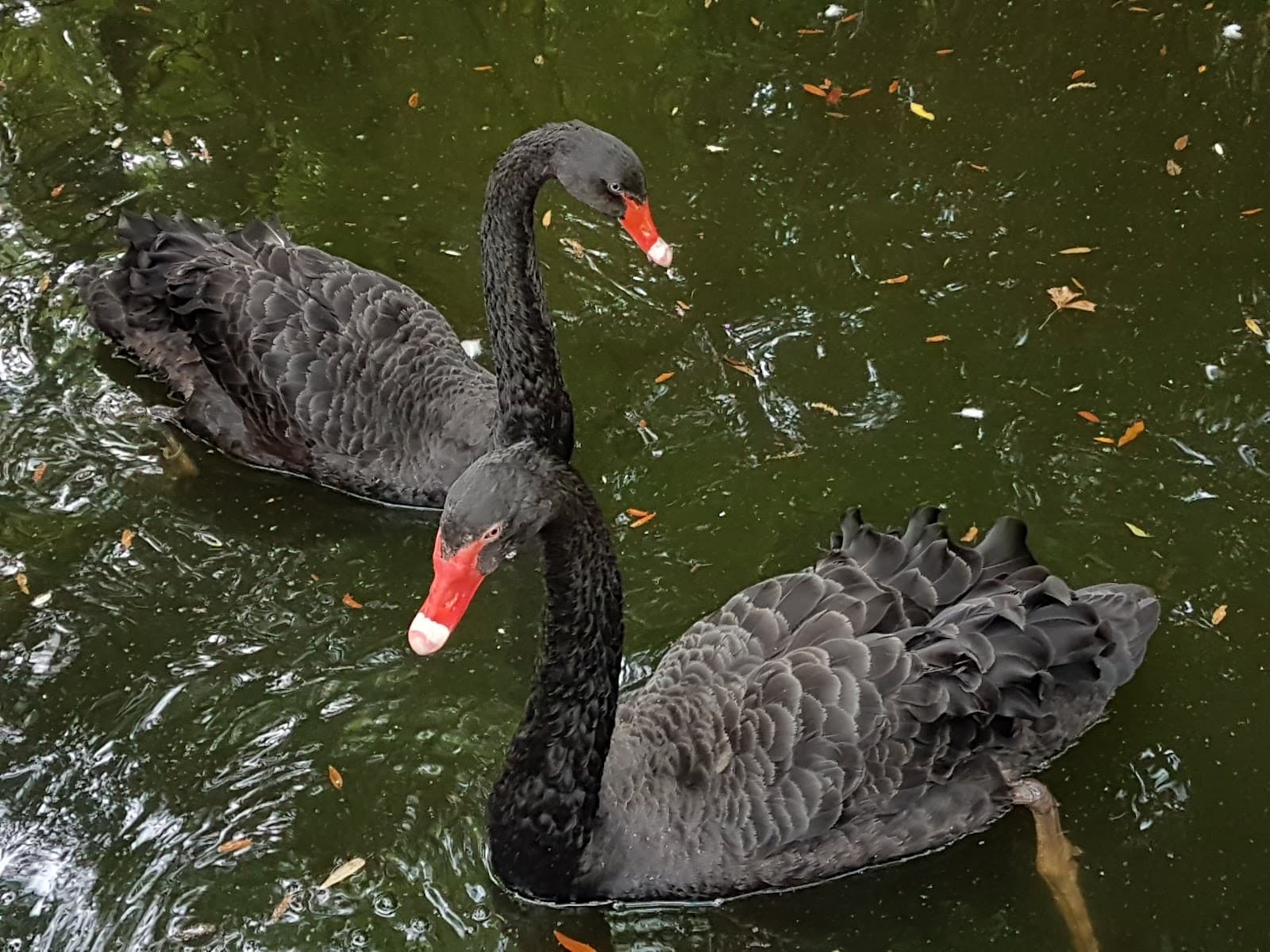 Parc Sans Souci - Image 1