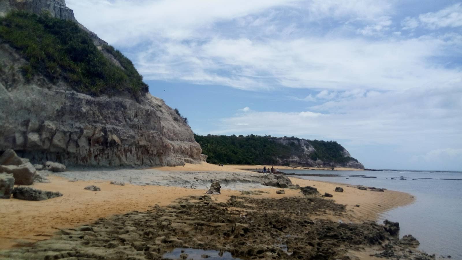 Freshwater Meets the Sea