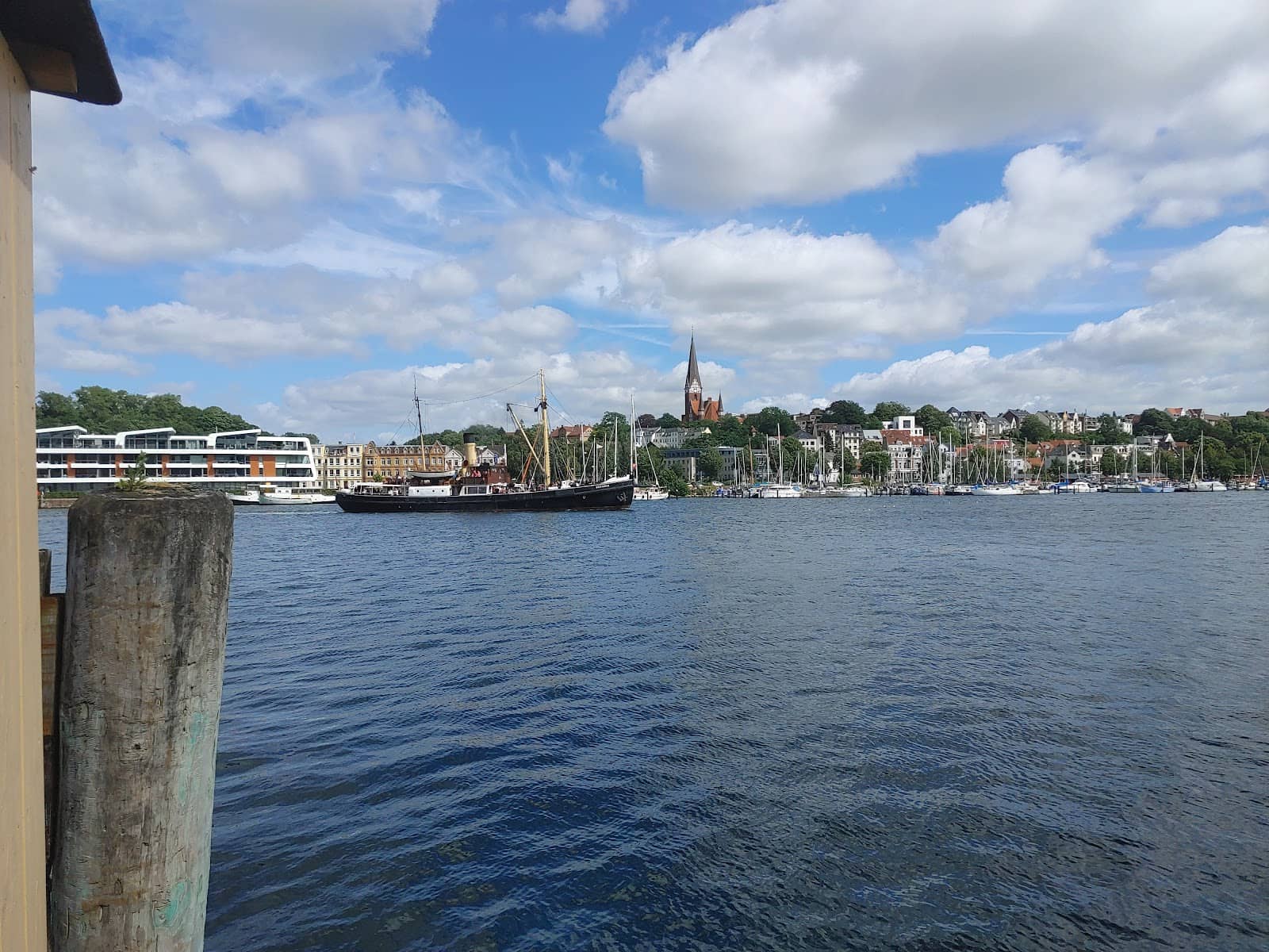 Maritime Flair and Seagulls