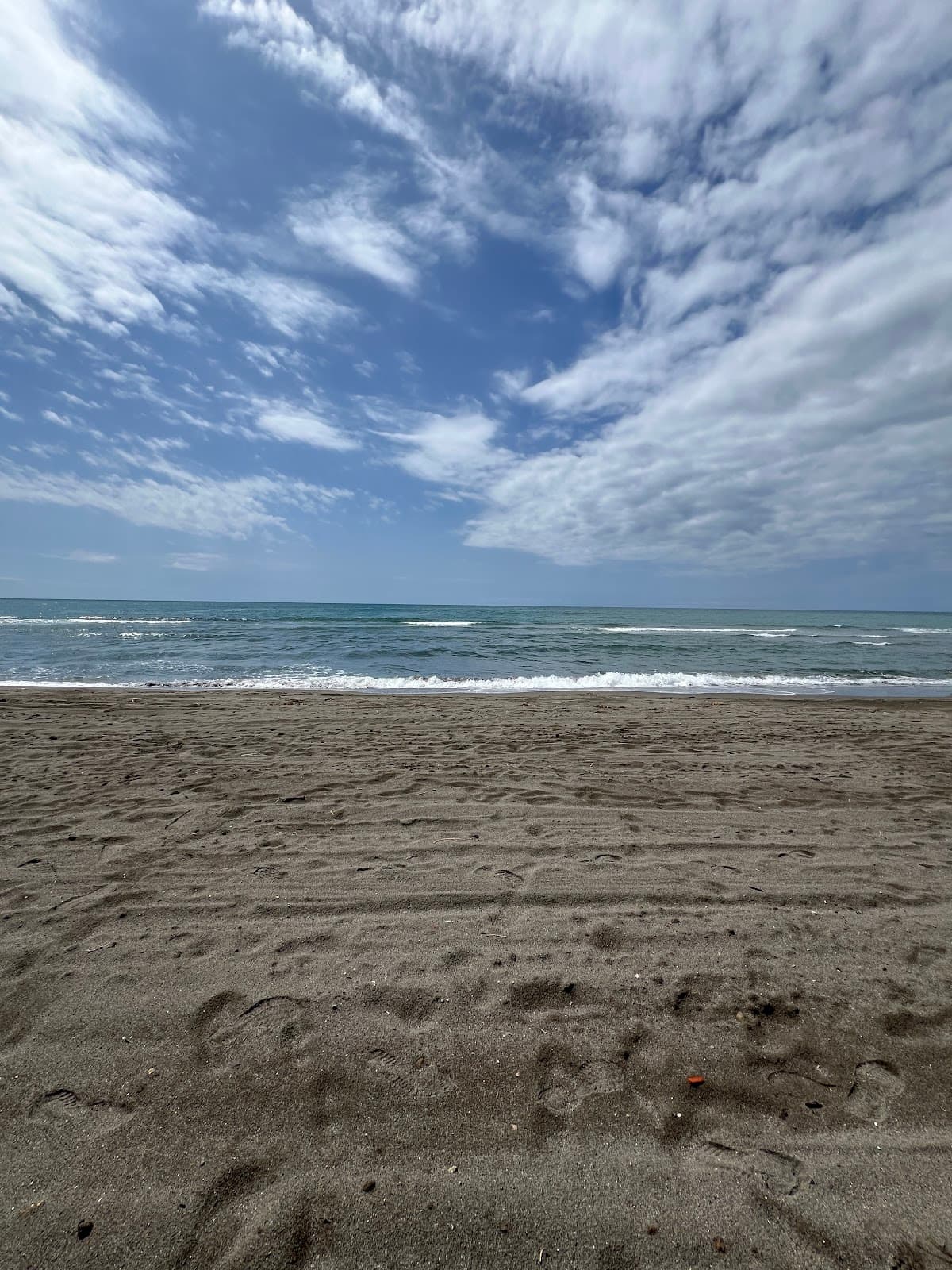 Ada Bojana Island - Image 1