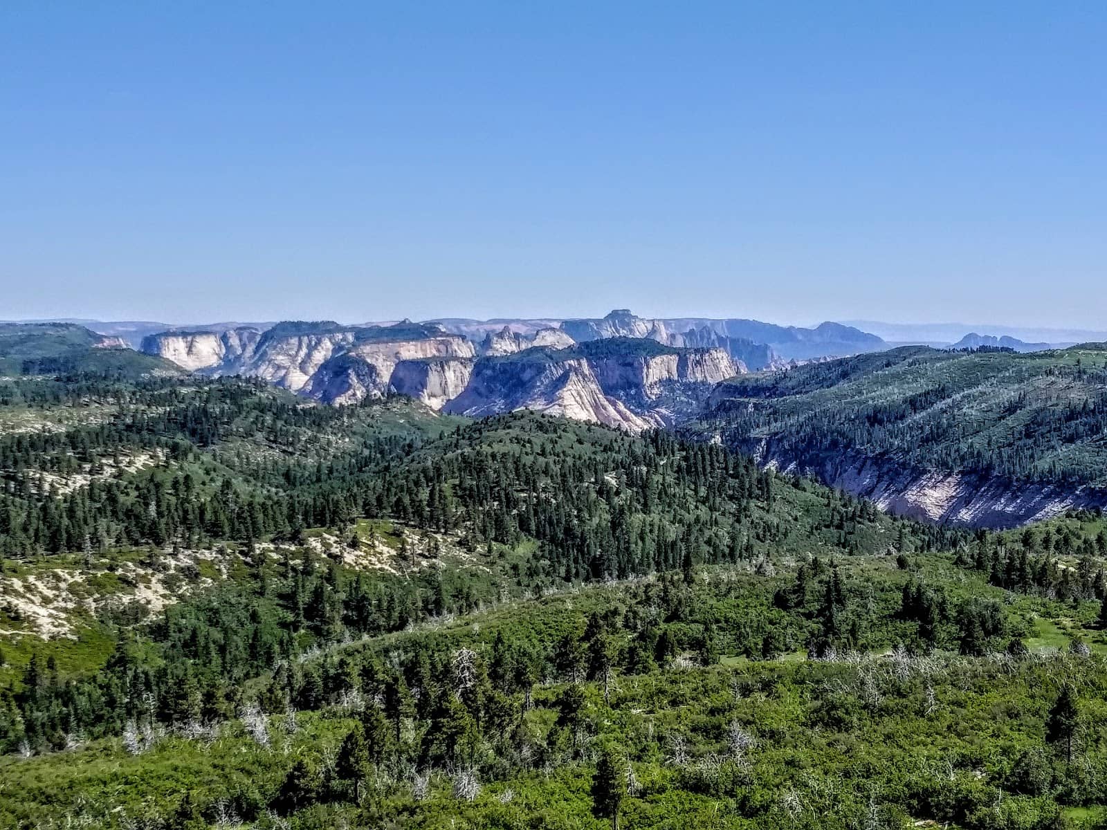 Crisp Mountain Air