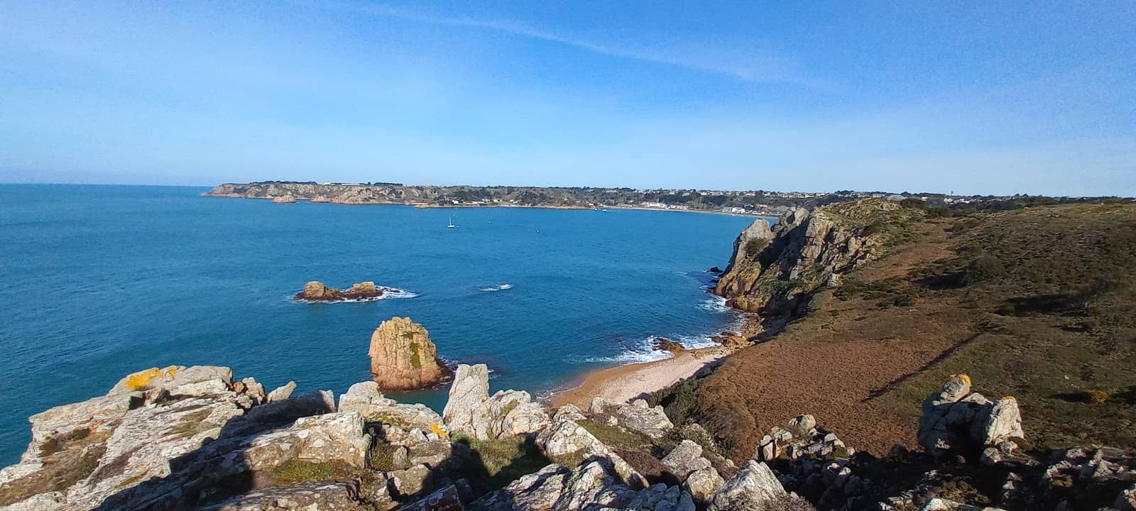 Dog Walking Paradise
