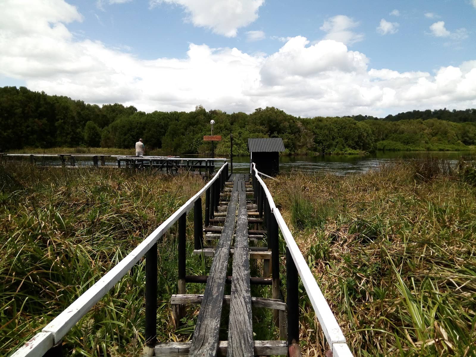 Vertical photo