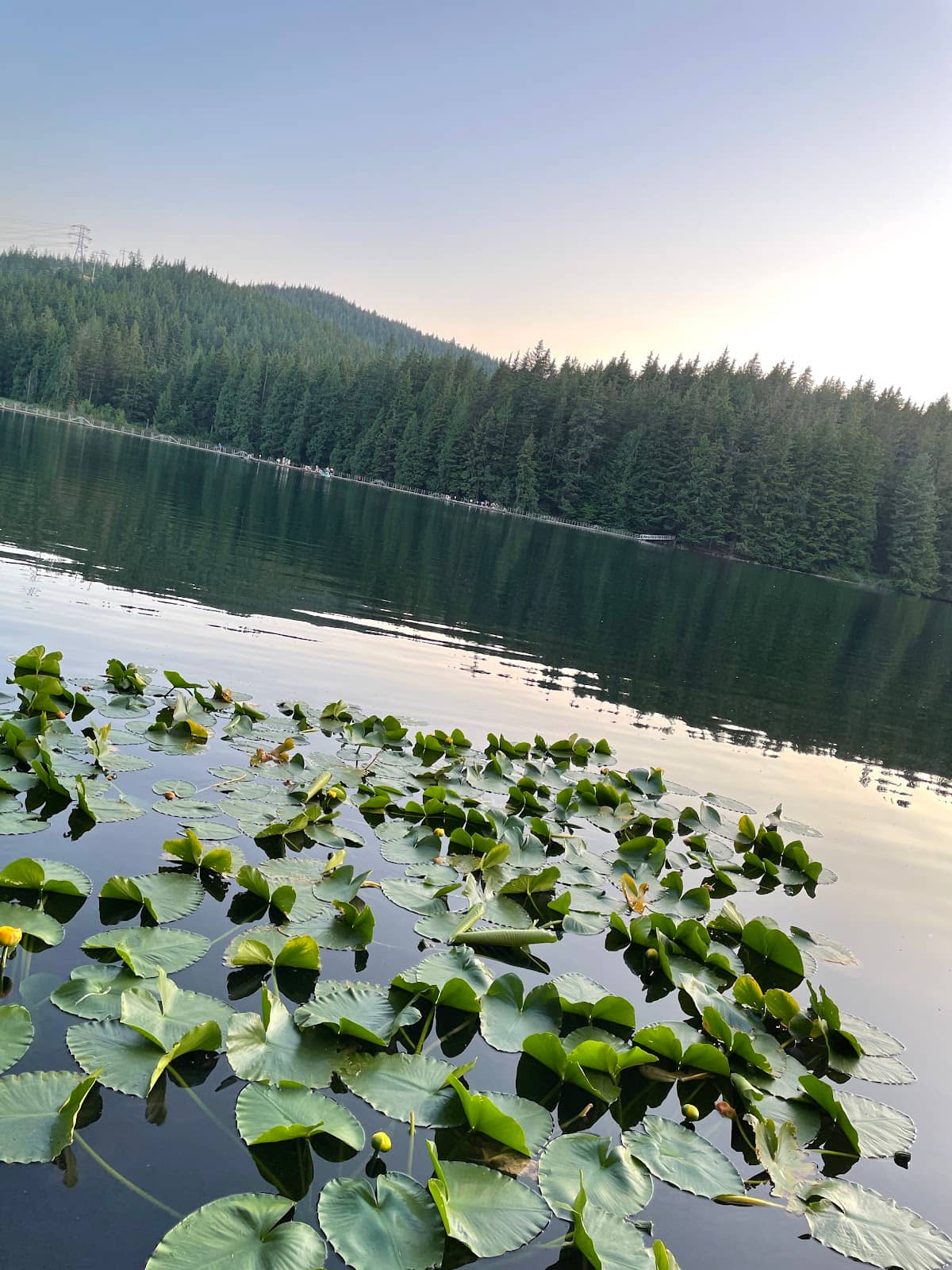Sasamat Lake Loop Trail