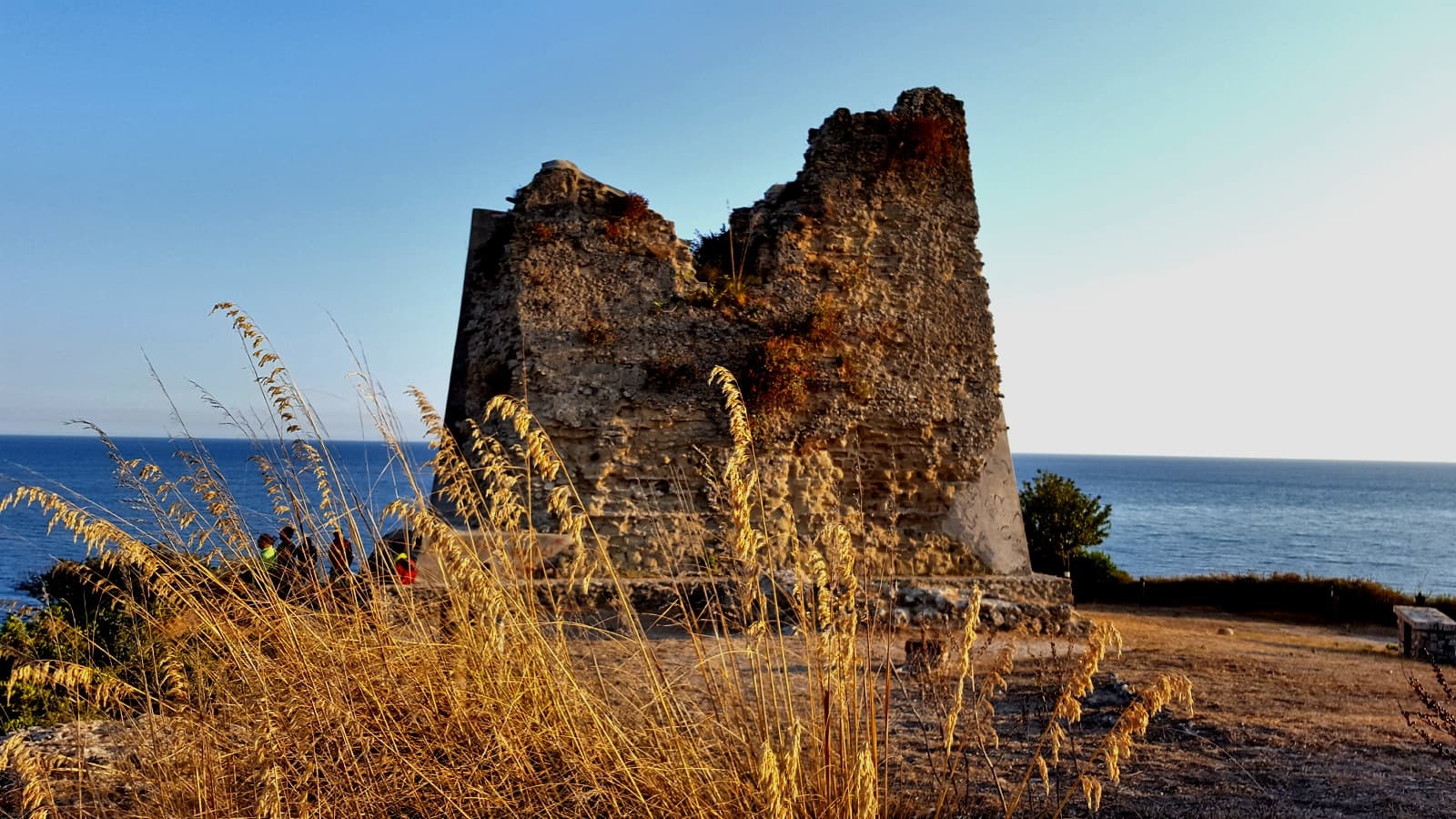Torre di Scauri (Torre Saracena) - Image 1
