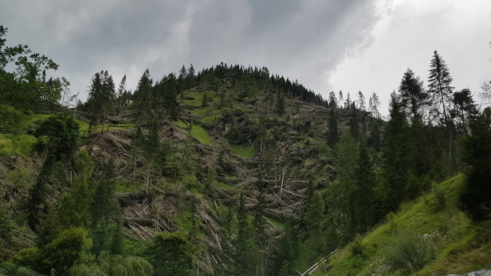 Temperantia's Final Boss